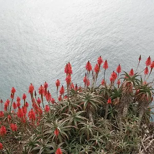 Apartamento Palma Madeira Wandern Und Tauchen, Caniço